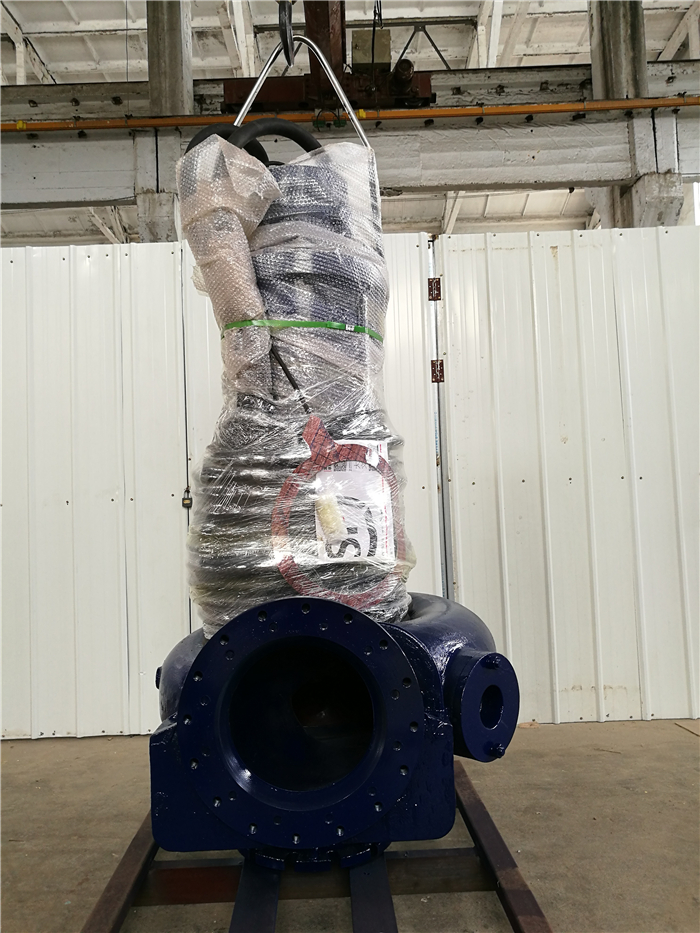 潛污泵安裝指南及維護保養(yǎng)常識.jpg 潛污泵安裝指南及維護保養(yǎng)常識.jpg