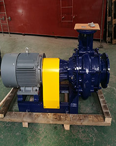 1692774207432150.jpg 1608601926797465.jpg